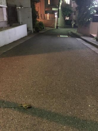 7月16日（月）今日の1コマ　