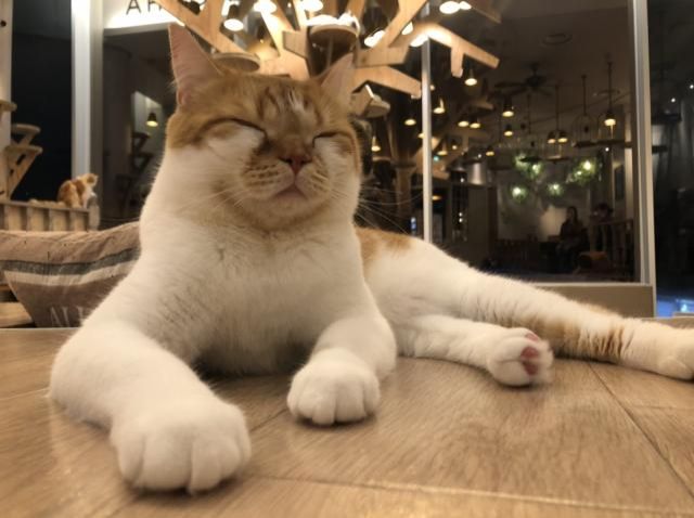 10月12日（月）　今日の1コマ