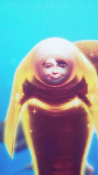 8月6日（木）今日の1コマ