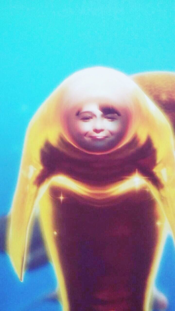 8月6日（木）今日の1コマ