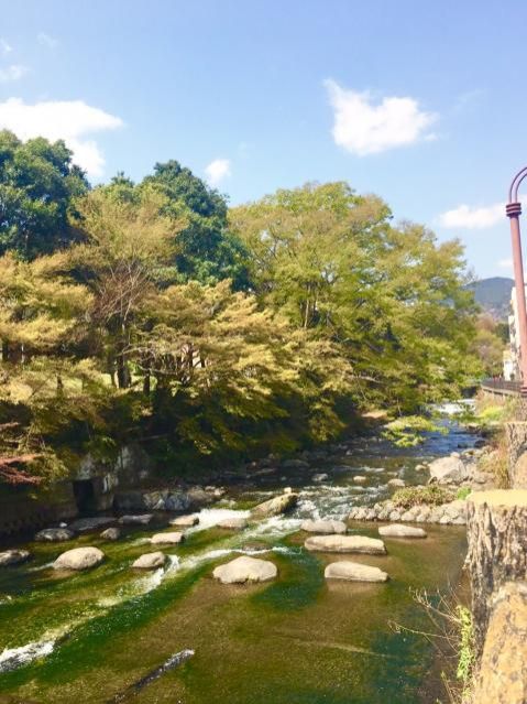 6月15日(金) 今日の1コマ。