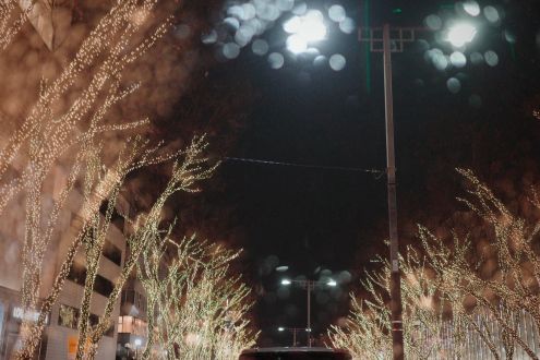 12月20日 イマーシブラザーズ