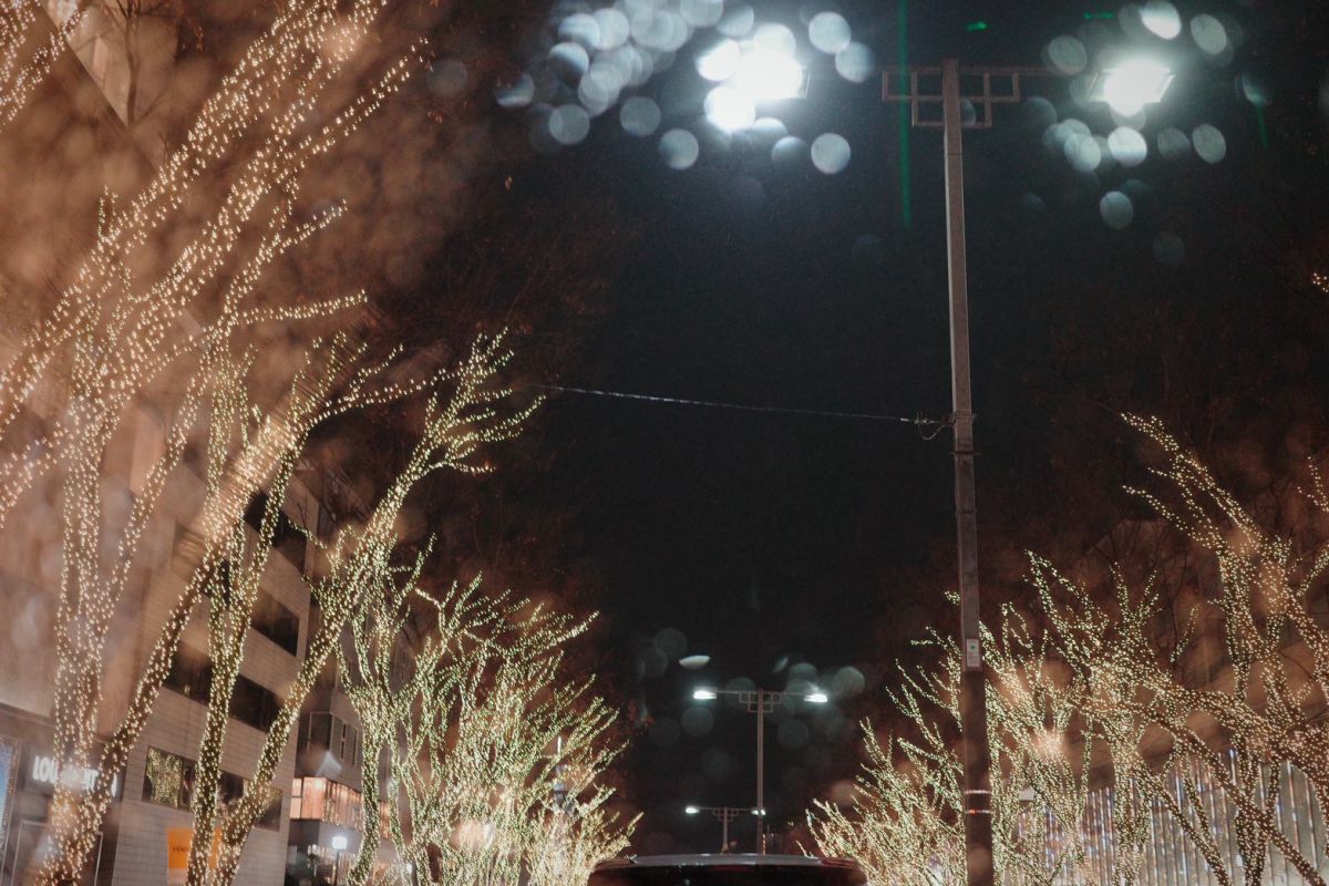 12月20日 イマーシブラザーズ