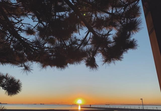 1月1日(金) 今日の1コマ♪