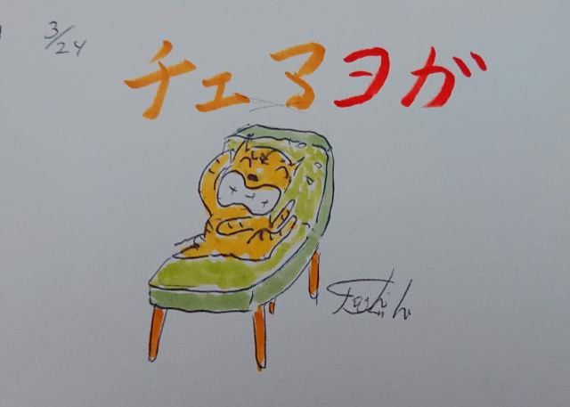 ヨガはヨガでも…