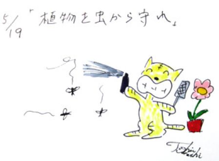 5月19日（月）のデリフラは・・・・