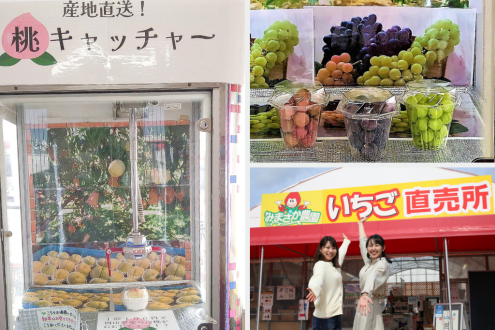 ご当地くだものUFOキャッチャー　美作農園・春名充明さん（岡山・美作市）