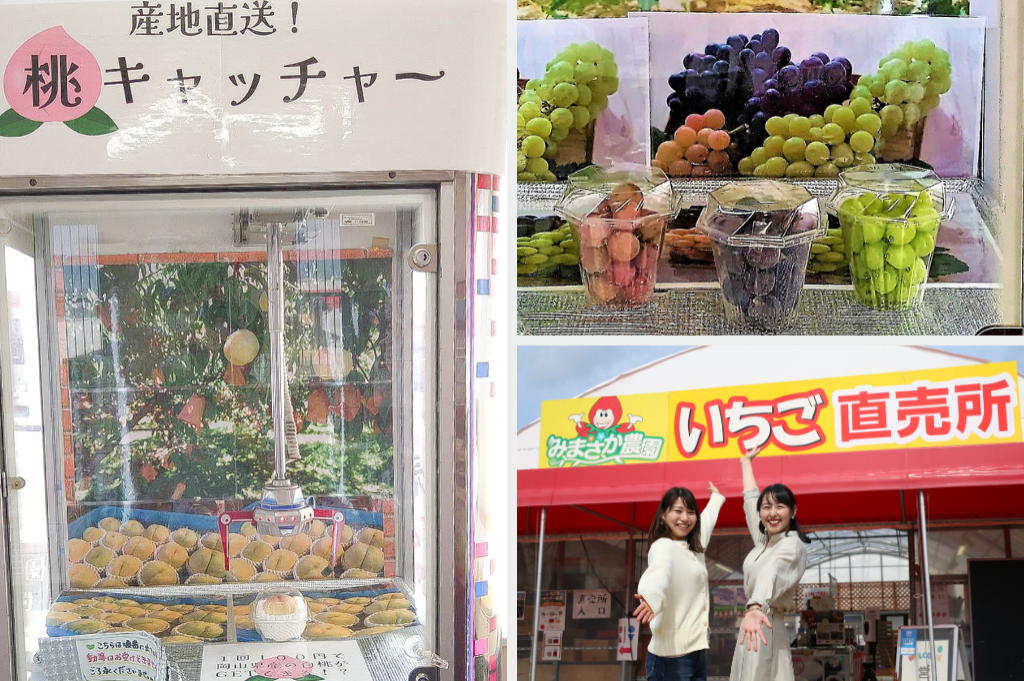 ご当地くだものUFOキャッチャー　美作農園・春名充明さん（岡山・美作市）