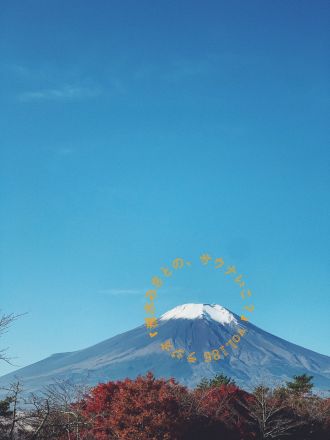 野生のサウナ？ウィスキング集団・しらかばスポーツが凄すぎた♨