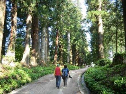 街道の合流点・日光今市から、世界一の杉並木を歩く旅