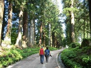 街道の合流点・日光今市から、世界一の杉並木を歩く旅
