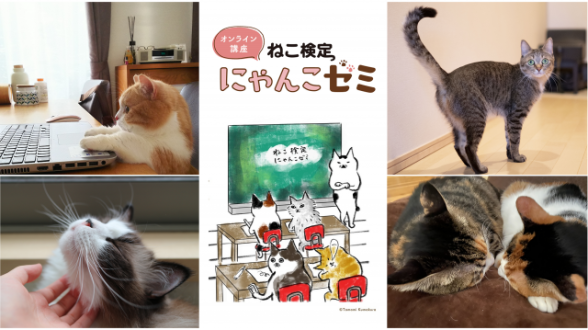 ねこの気持ち・生態をやさしく学べるオンライン講座「ねこ検定 にゃんこゼミ」!!