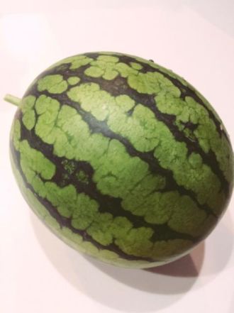 8月3日（水）今日の1コマ