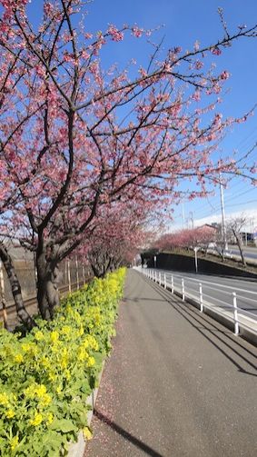 2015年3月13日（金）今日の1コマ