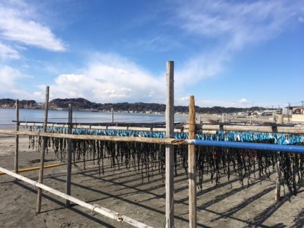 斉藤リョーツのいただき！風に揺られて・・・