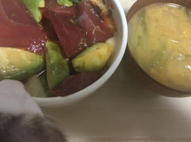 11月21日（火）今日の1コマ　