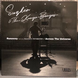 バイナルギャラリー (RHYMESTER DJ JINの秘蔵レコード)