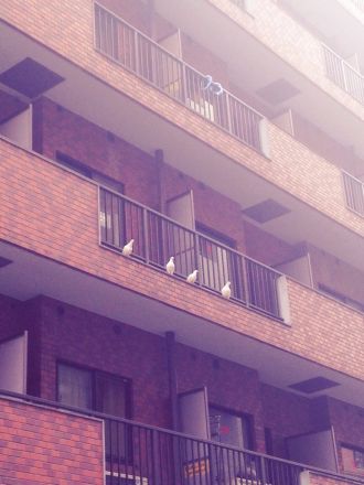 2015年3月19日（木）今日の1コマ