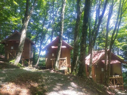 お宝ファイルNO.136　大川山キャンプ場