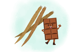 「ごぼうのチョコレート」