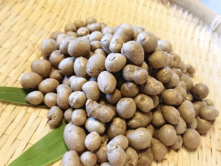 秋まっさかりの食材特集！～秋まっさかりの食材・むかご（新潟）