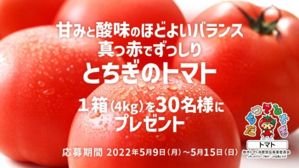 フォロー＆リツイートしてくれた方の中から抽選で30名様に、栃木県産のおいしいトマトをプレゼント！