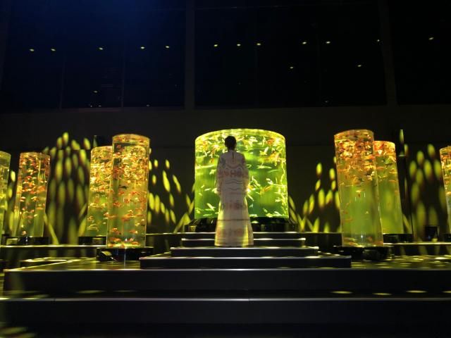 アートアクアリウムを通じて、日本の伝統文化をみなさんへ！【ゲスト：アートアクアリウム美術館・総合プロデューサー 木村英智さん】