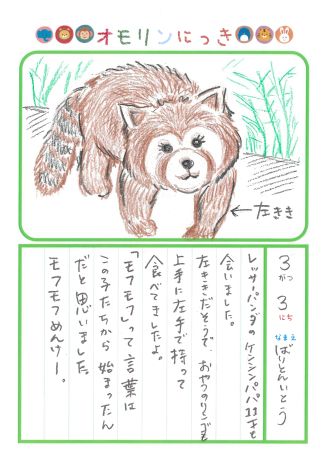 2024年3月3日「レッサーパンダさんをみできましたよ」