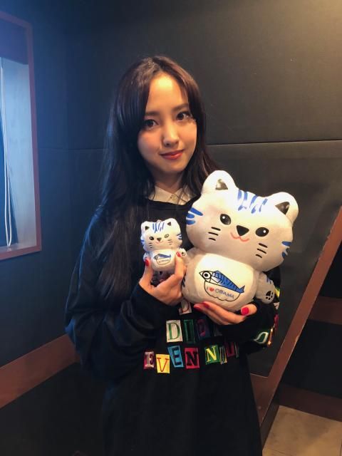 さばトラななちゃん【福井県小浜市のご当地キャラクター】