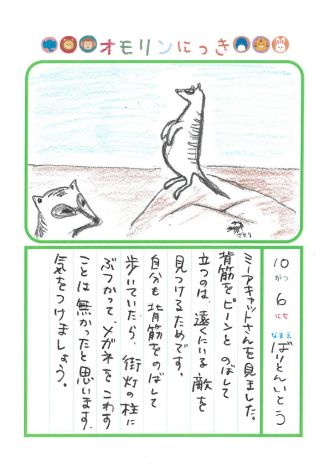 2024年10月6日「ミーアキャットさんをみできましたよ」