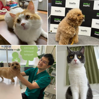 ニシカツ先生コーナーでは質問、ご相談受付中　／　東洋医学も取り入れた、わんちゃん用ビュッフェ　in 秋保温泉