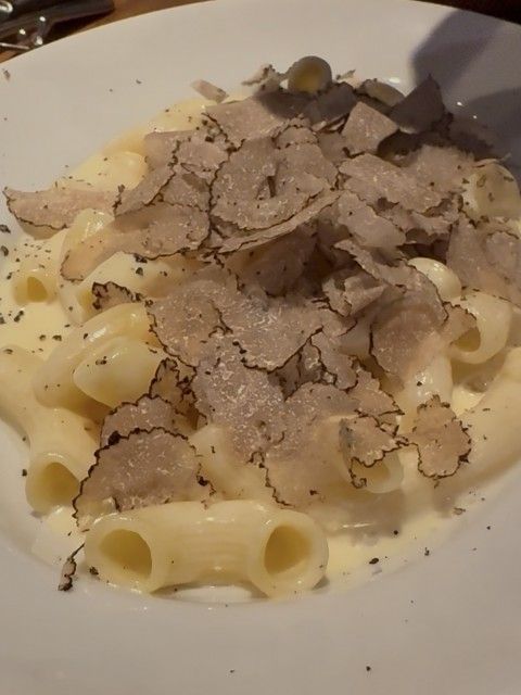 藤井悠のいただき！トリュフ！