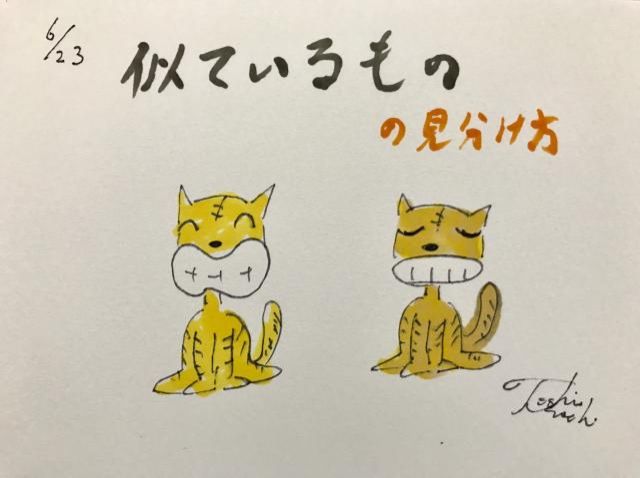 似ているものの見分け方