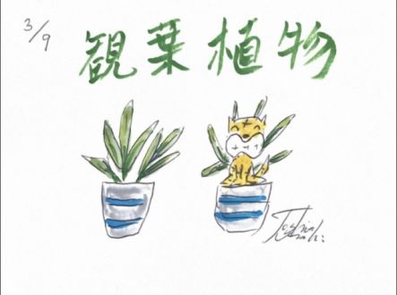 観葉植物はいかがですか！？