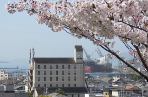 お宝ファイルNO.122　ＲＩＴＡ学園