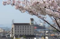 お宝ファイルNO.122　ＲＩＴＡ学園