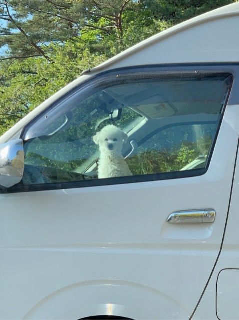 5月21日(金) 今日の1コマ♪