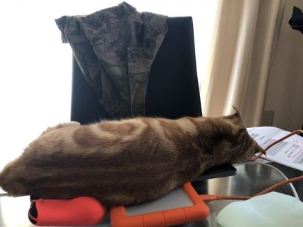 8月5日（月）　今日の1コマ　