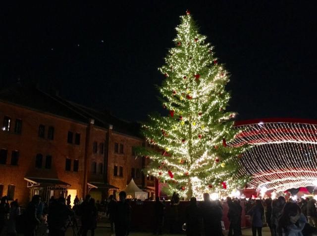 12月7日（木）今日の1コマ