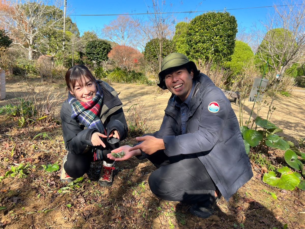 【＃４１　新春　植物まみれ！春の七草を探しに行こう！】～Sato Note