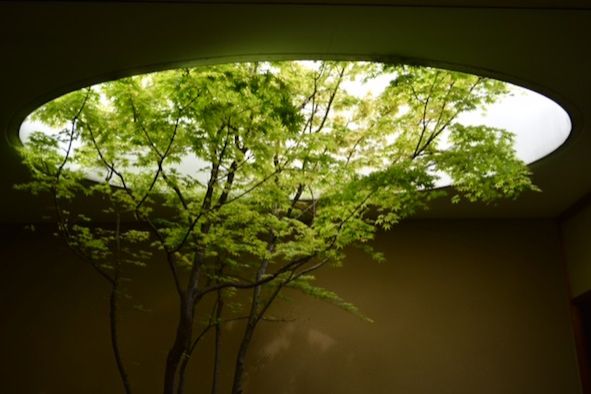 7月7日（火）今日の1コマ