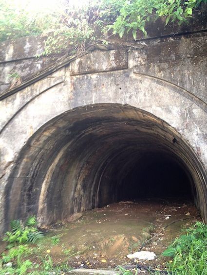 7月3日（金）今日の1コマ
