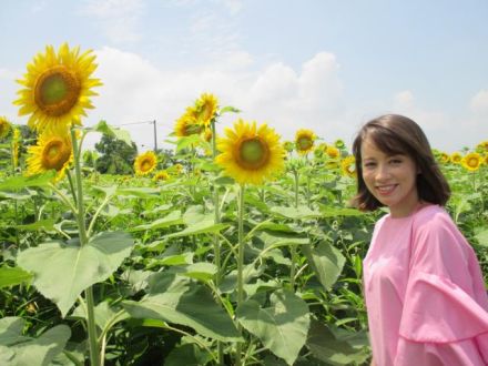 信長公岐阜入城450年～ドキンのふる里めぐり～