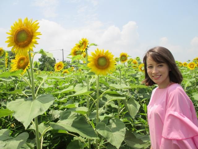 信長公岐阜入城450年～ドキンのふる里めぐり～