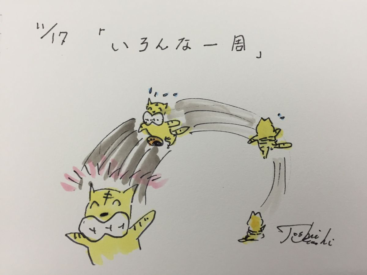 11月17日（火）のデリフラは・・・