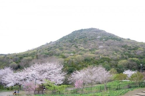 お宝ファイルNO.73 善通寺五岳の里 市民集いの丘公園