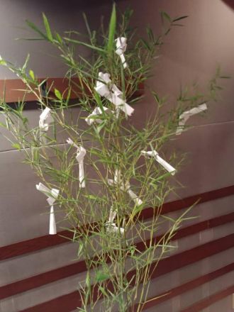 お願い事は笹に結び付けました！