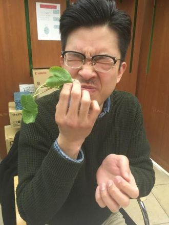 再生可能ヤサイ