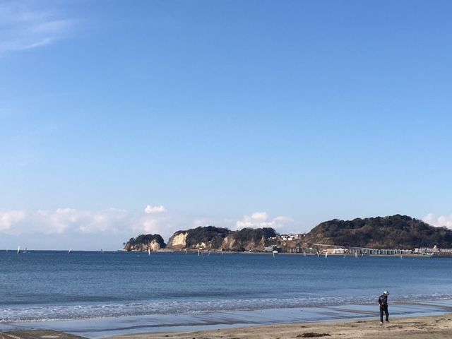 斉藤リョーツのいただき！ホンマでっか！？