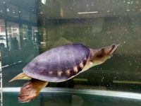 お宝ファイルNO.90　多度津高校ミニ水族館